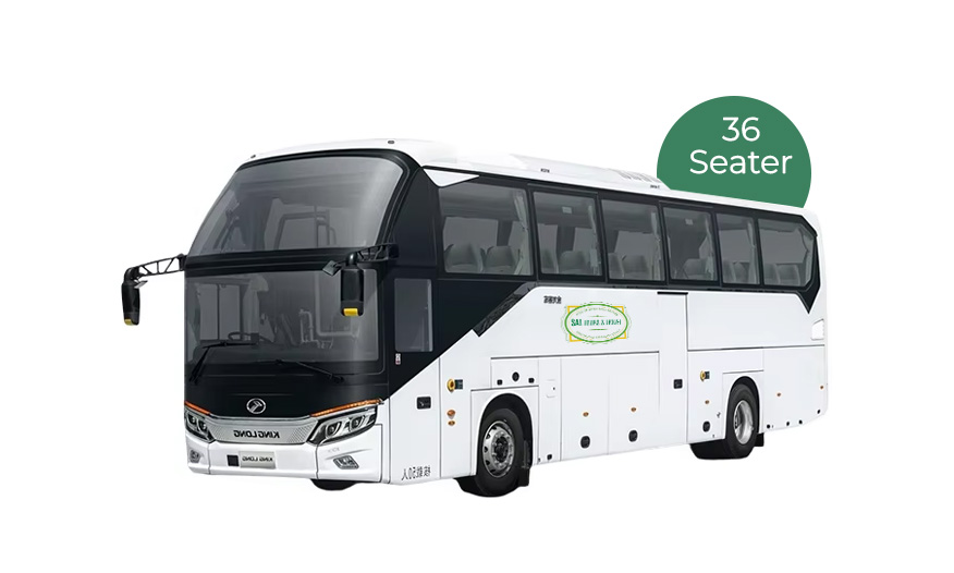17 Seater Tempo Traveller (2+1)